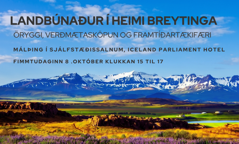 Skjámynd 2026-10-02 092352